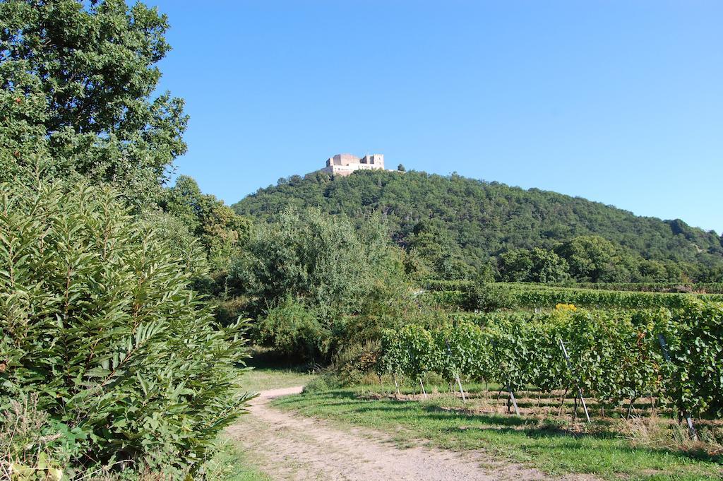 Landgasthof Jaegerstuebchen Neustadt an der Weinstrasse Luaran gambar