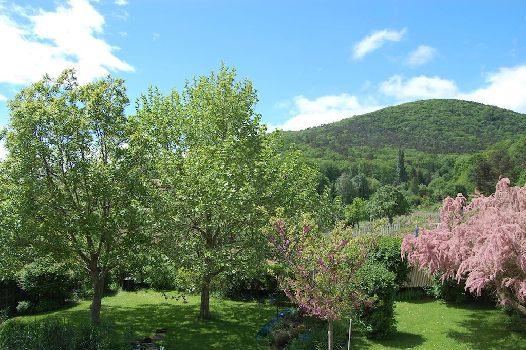 Landgasthof Jaegerstuebchen Neustadt an der Weinstrasse Luaran gambar